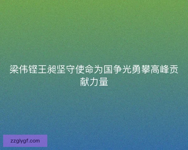 梁伟铿王昶坚守使命为国争光勇攀高峰贡献力量
