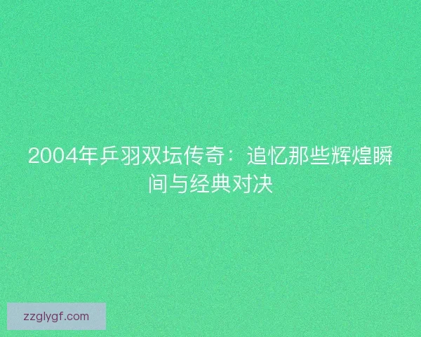 2004年乒羽双坛传奇：追忆那些辉煌瞬间与经典对决